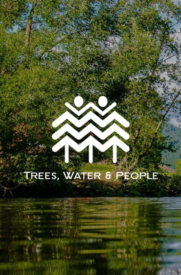 Trees, Water & People Photo