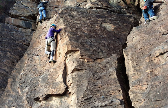 Learn about our Honorary Board of Directors